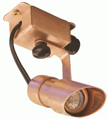 Brass Outdoor Directional Light