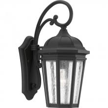 Progress P560015-031 - Verdae Collection One-Light Medium Wall-Lantern