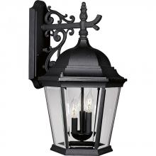 Progress P5690-31 - Welbourne Three-Light Wall Lantern