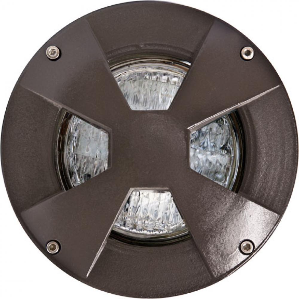 WELL LIGHT W/DRIVEOVER CVR W/ SLV 35W PAR36 12V