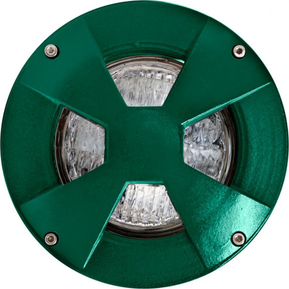 WELL LIGHT W/DRIVEOVER CVR W/ SLV 9W LED PAR36 12V