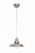 Maxim 25022SN/BUI - Mini Hi-Bay-Single Pendant