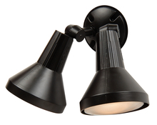 Outdoor Directional Lights