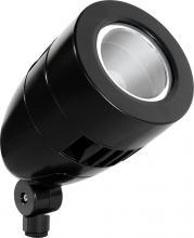 RAB Lighting HNLED13DCB - LFLOOD 13W COOL LED 12V 24V DC NARROW REFLECTOR HBLED BLACK