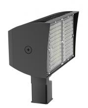 RAB Lighting PIPXL100SFN/D10/PFS - PIP XL FLOODLIGHT 100W NEUTRAL