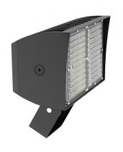 RAB Lighting PIPXL100TW/D10/PFS - PIP XL FLOODLIGHT 100W COOL