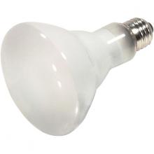 Halogen Bulbs