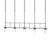 Hubbardton Forge 137725-SKT-SHRT-20-ZM0343 - Erlenmeyer 5 Light Pendant