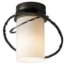 Hubbardton Forge 352401-SKT-14-GG0160 - Olympus Outdoor Semi-Flush