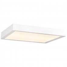 Access 20075LEDD-WH/ACR - Outdoor LED Flush Mount