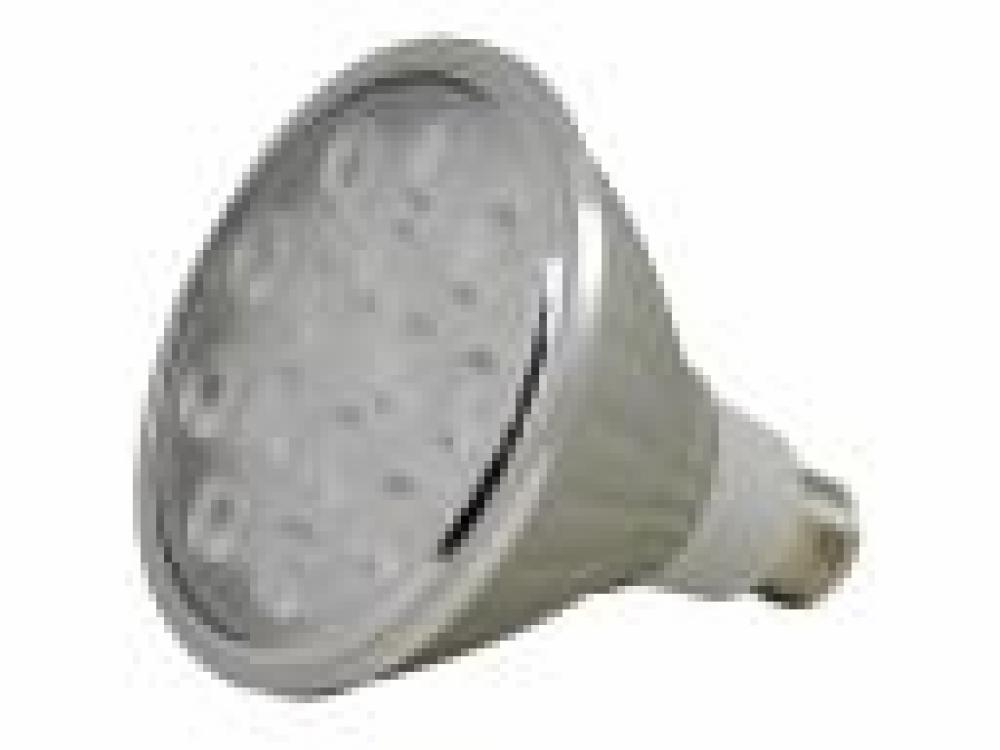 SPOT  17W LED PAR38 E26