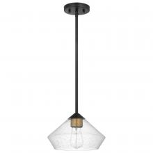 Nuvo 60/7682 - Starlight; 1 Light Mini Pendant; Medium Base; 60 Watt; Matte Black Finish: Clear Seeded Glass