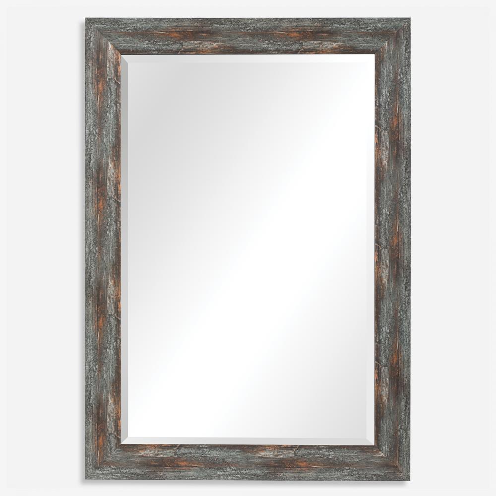 Owenby Rustic Silver & Bronze Mirror